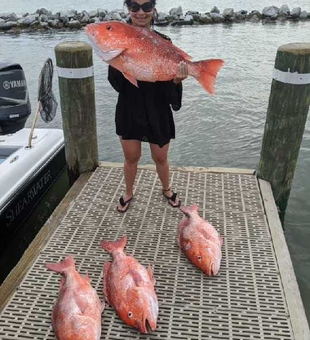 Red Snapper Bliss In Gulf Shores